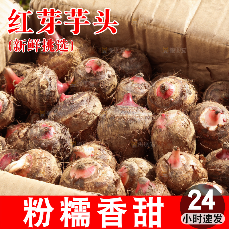 一箱广西红芽芋