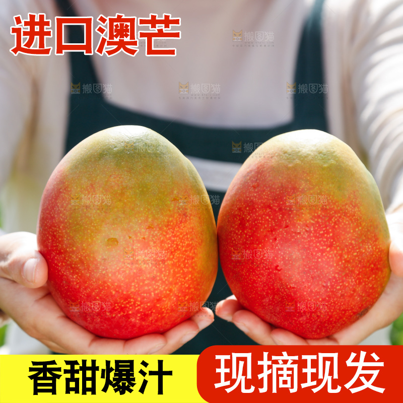 手里拿着澳芒