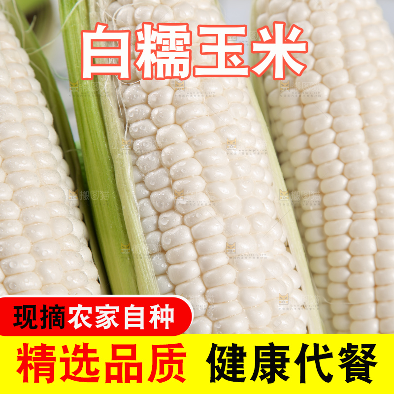 一堆白糯玉米棒