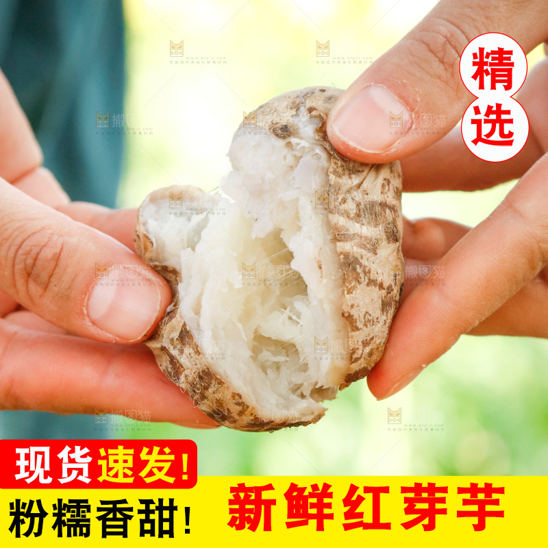 手里拿着小芋头