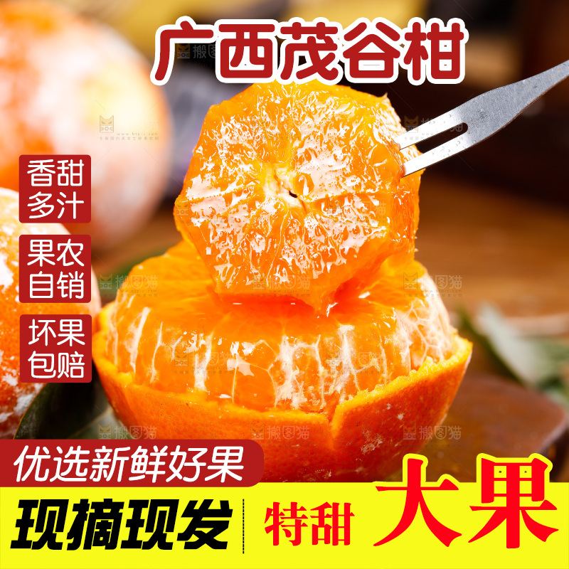 叉子上插着茂谷柑果肉