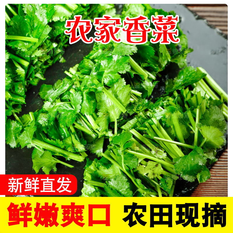 黑石板上切开的香菜