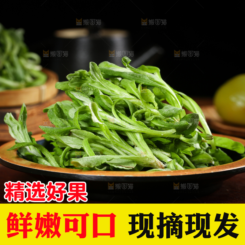 一盘野生鼠曲草