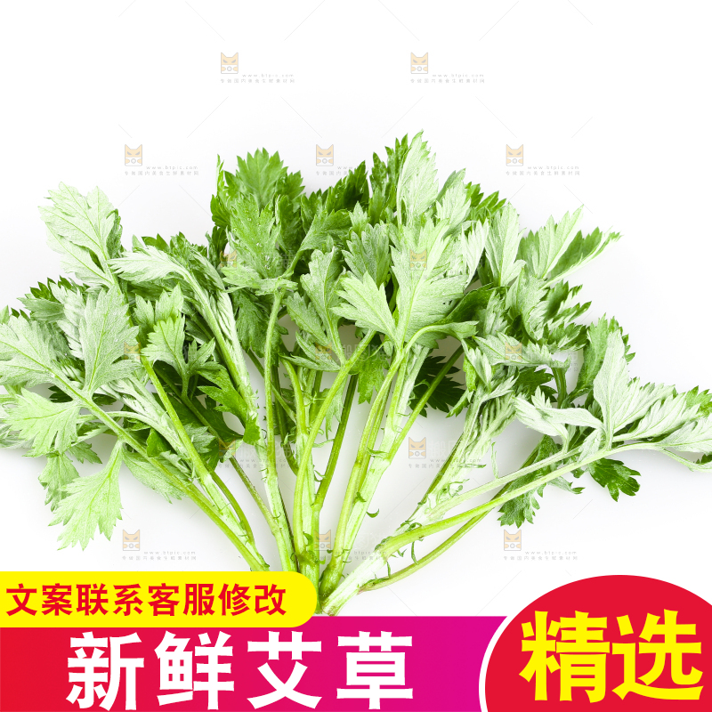 白底上放着艾草叶