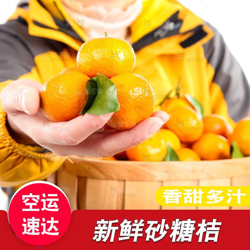 手里端着一篮砂糖橘