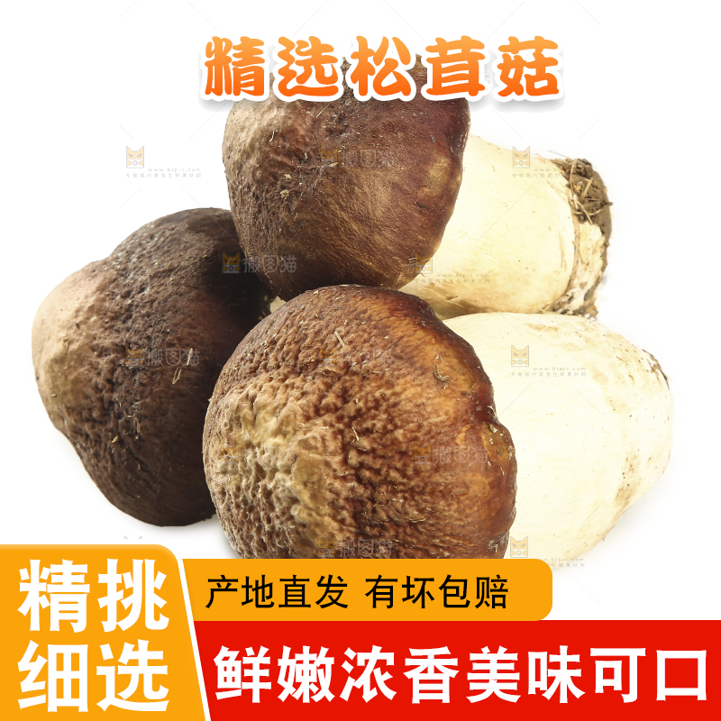 白底上放着松茸菇