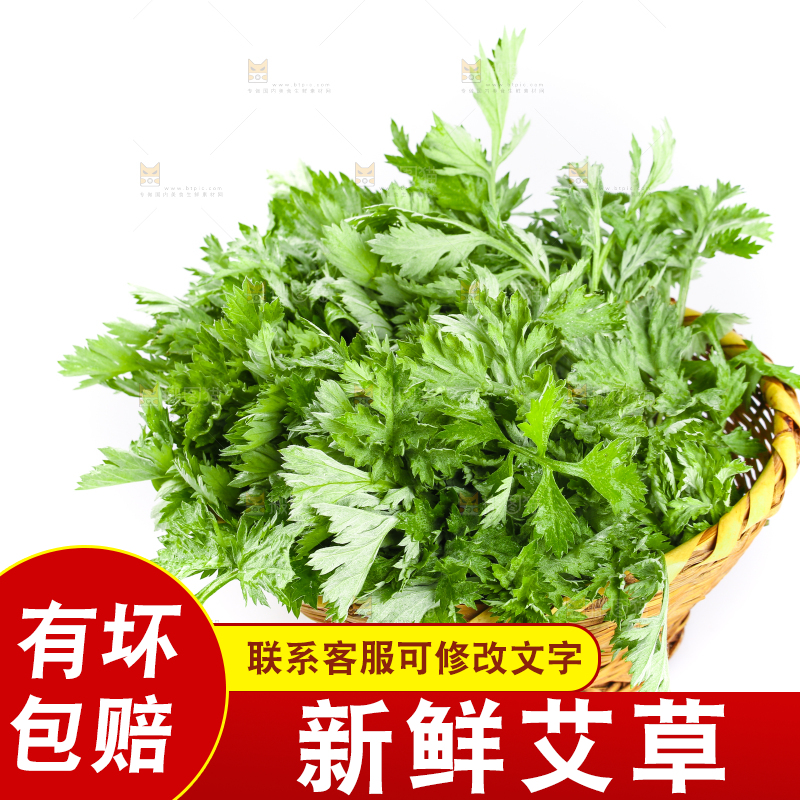 一篮新鲜艾叶