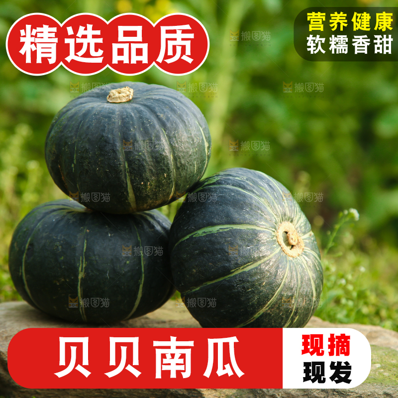 石头上放着贝贝瓜