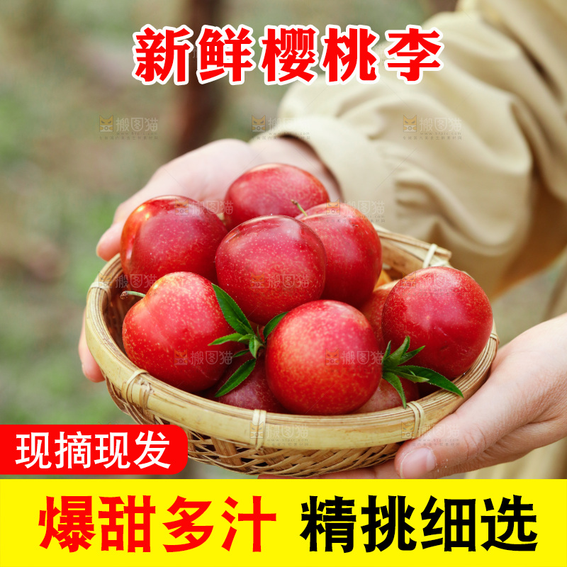 一篮智利樱桃李