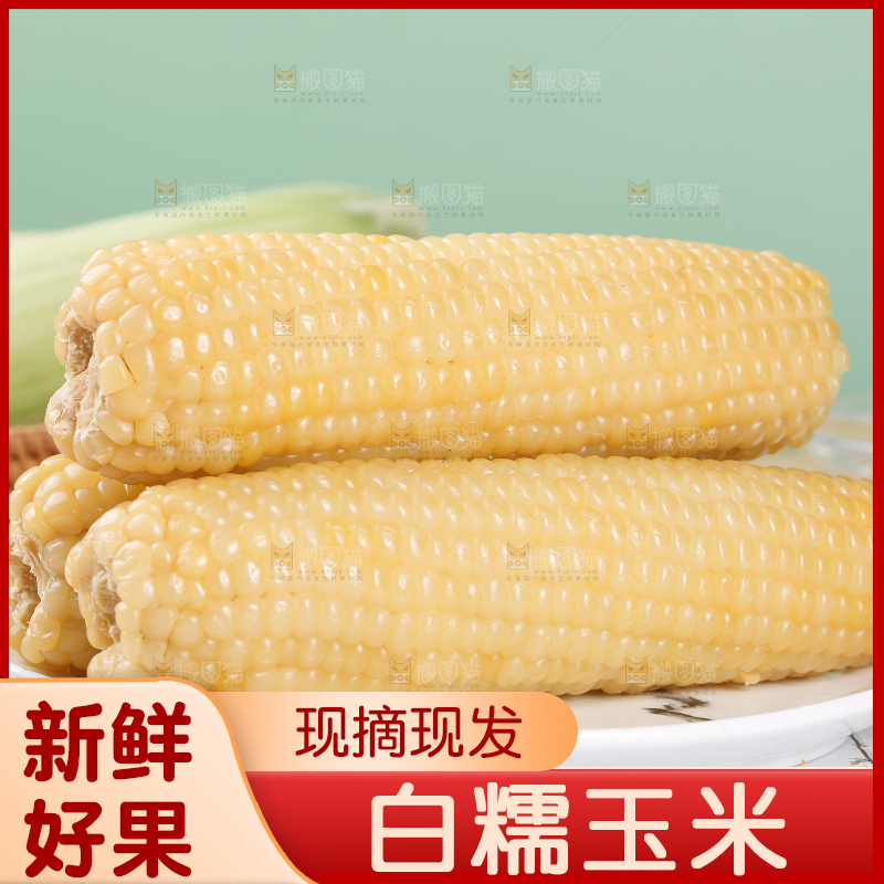 一盘东北白糯玉米