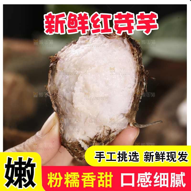 手里拿着熟的红芽芋