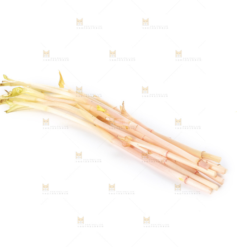 白底上的鱼腥草嫩芽