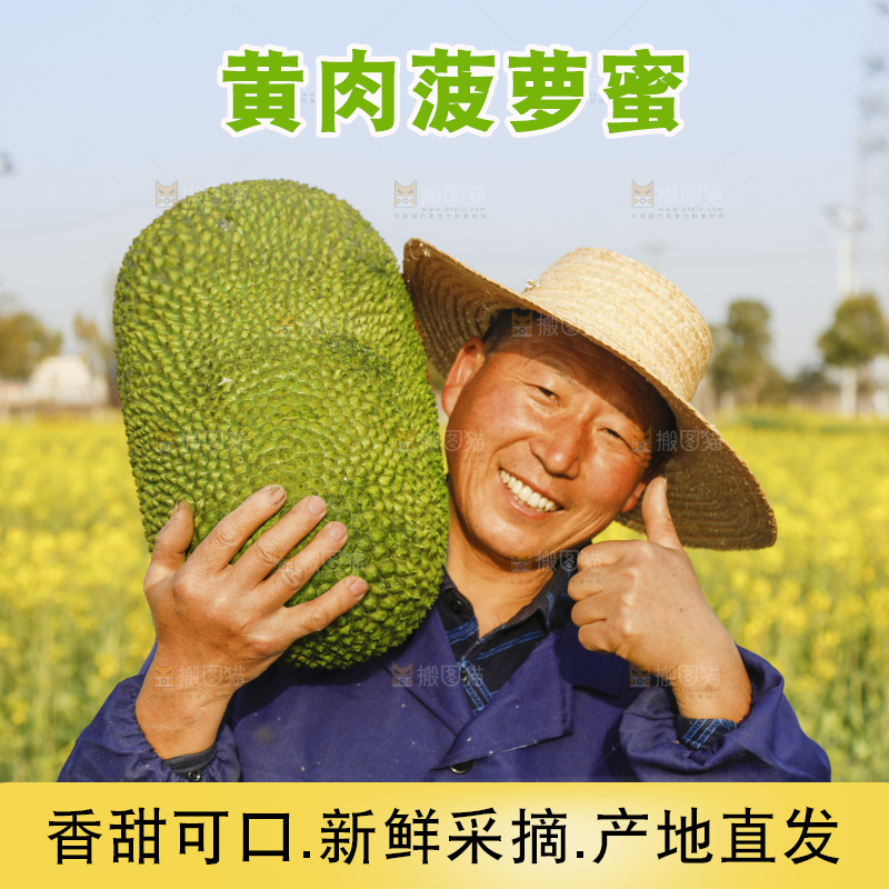 手里抱着海南菠萝蜜