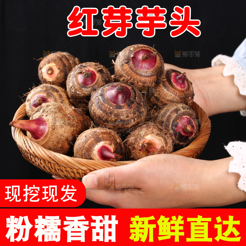 一篮红芽小芋头