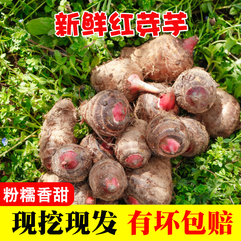 一堆新鲜红芽小芋头