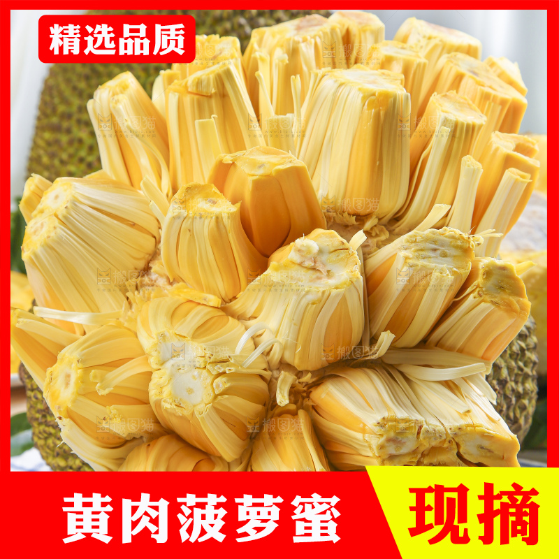 格子底上的海南黄肉菠萝蜜