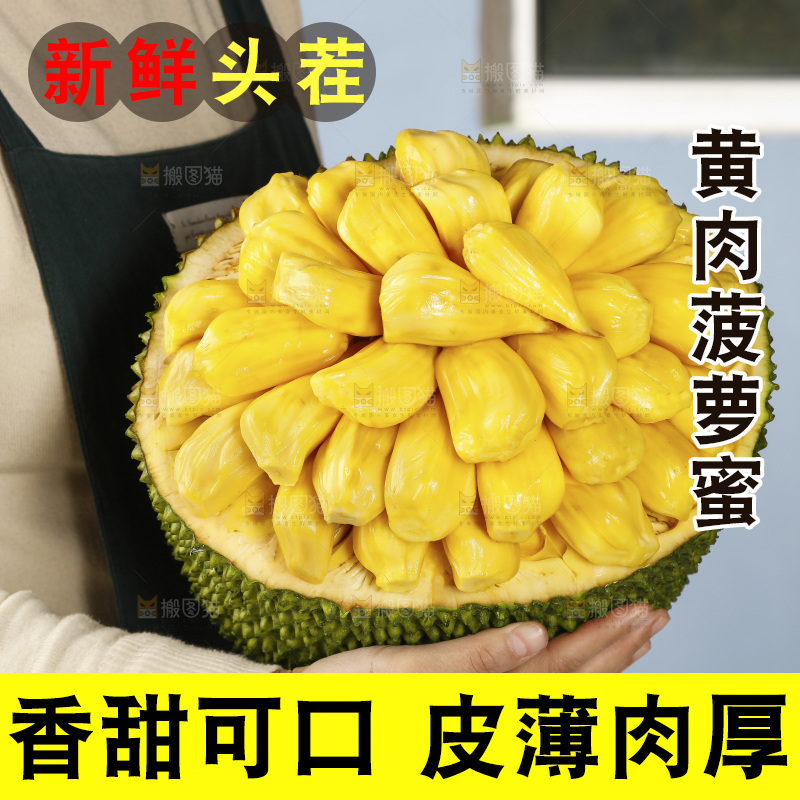 手里抱着海南黄肉菠萝蜜