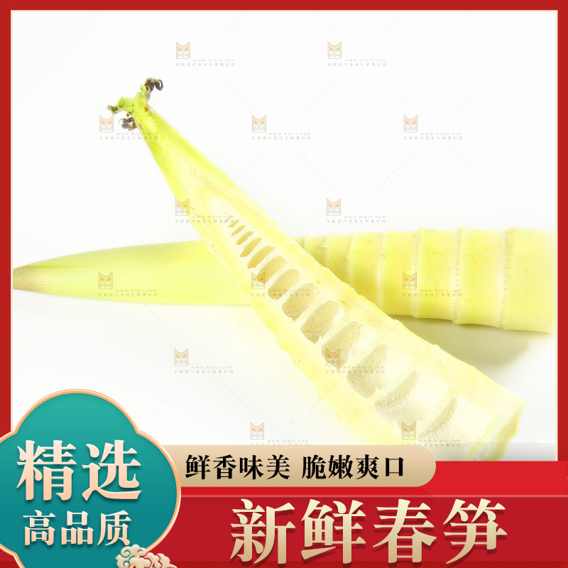 白底上的竹笋