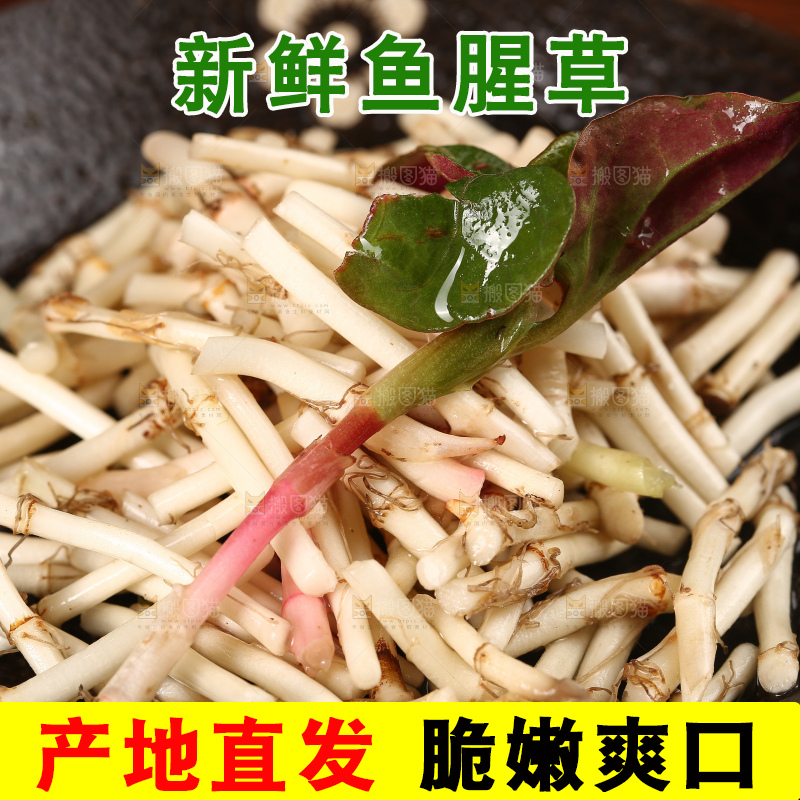 一盘折耳根