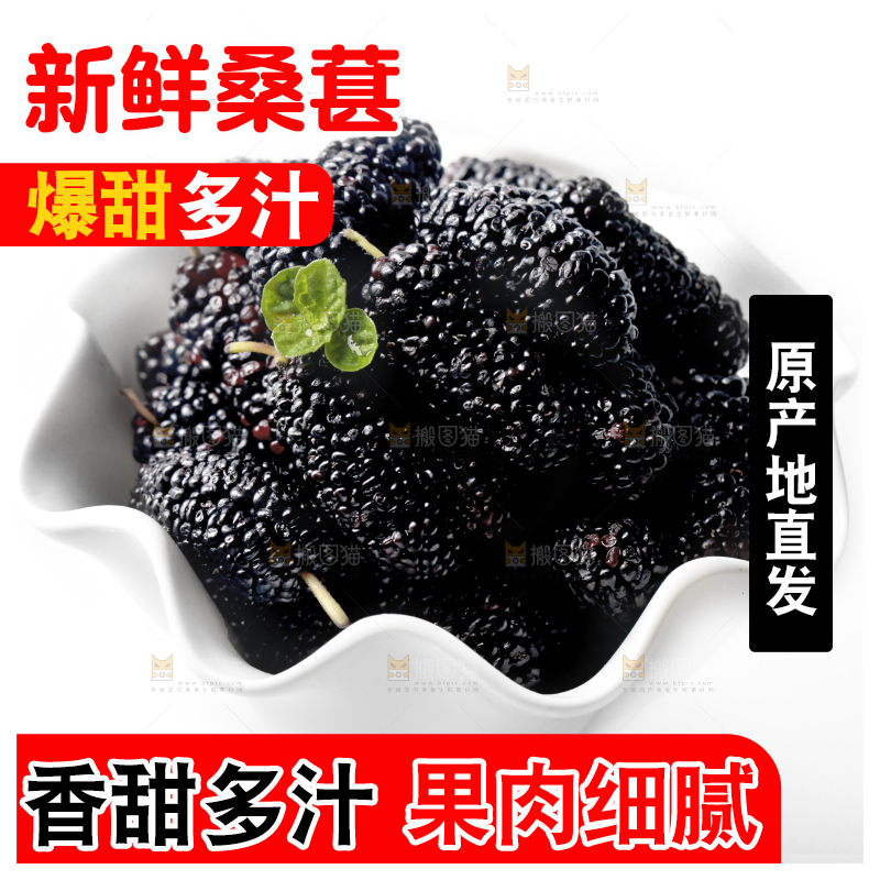 一碟桑葚果