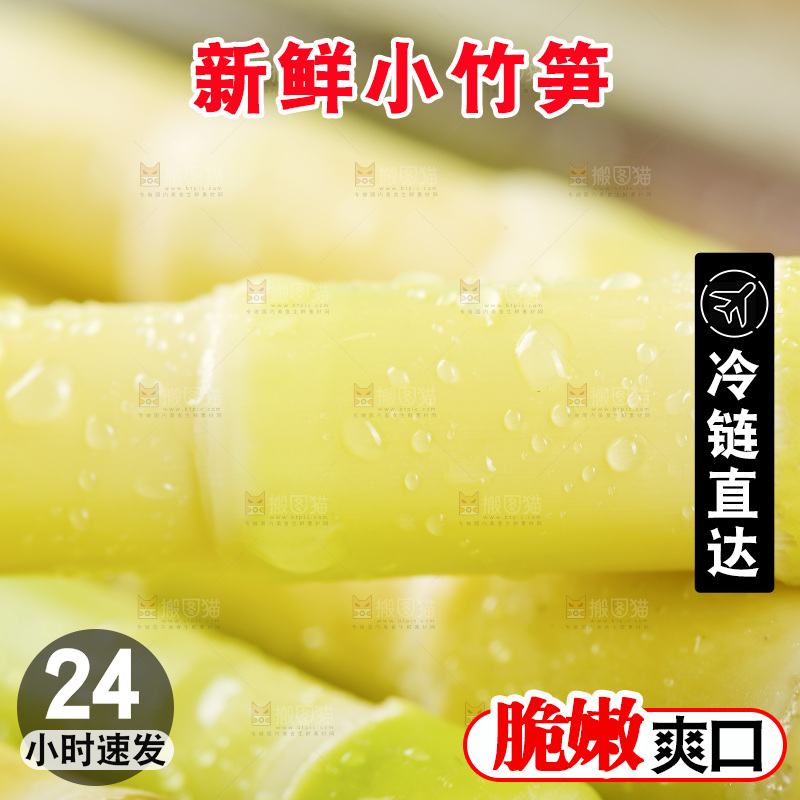 新鲜的小竹笋