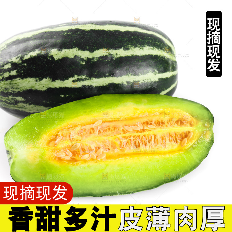 白底上放着博洋9号