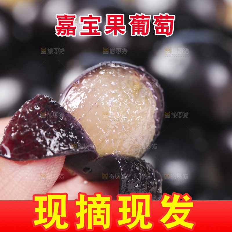 手里拿着树葡萄