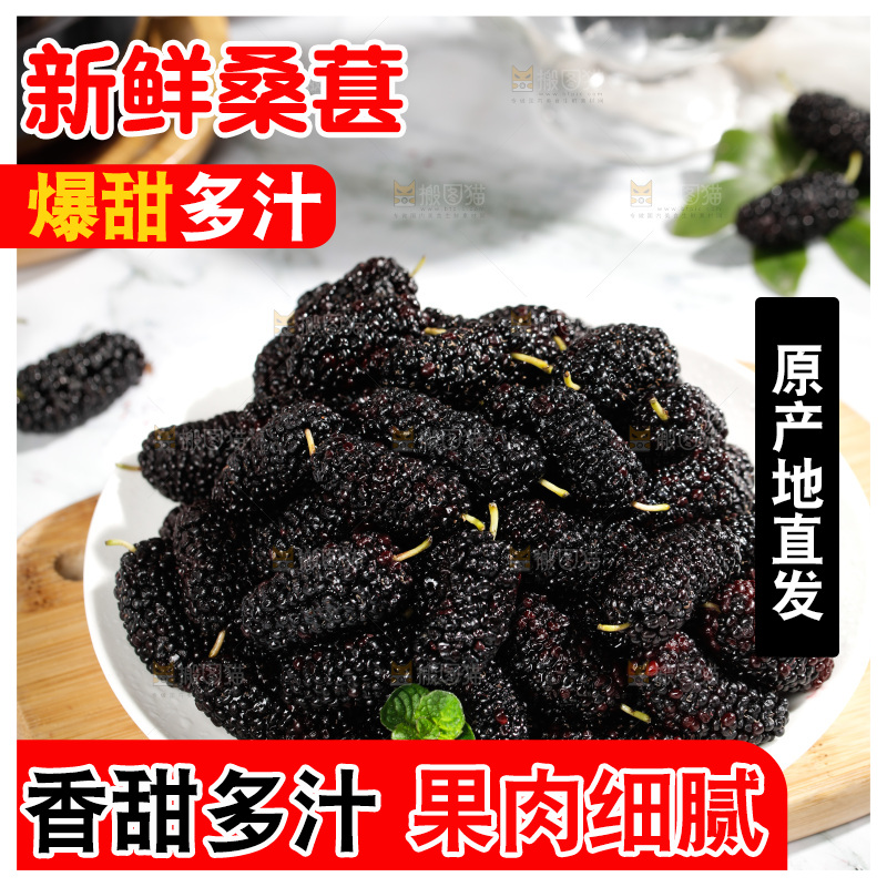 一盘新鲜桑葚