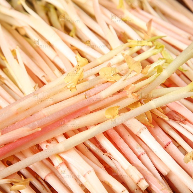 一篮折耳根嫩芽