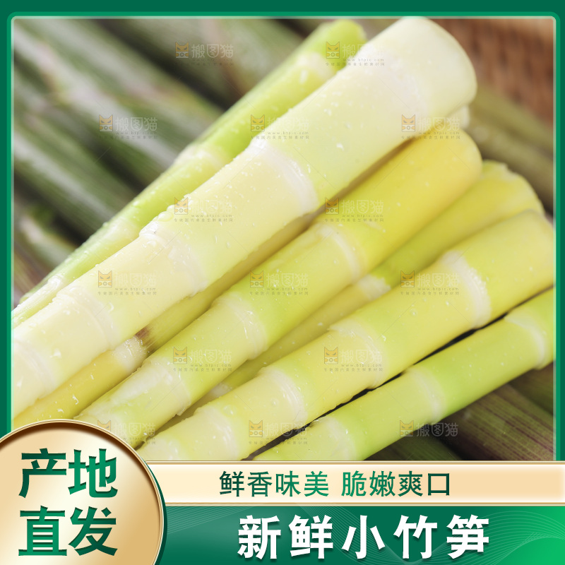 一篮野生小竹笋