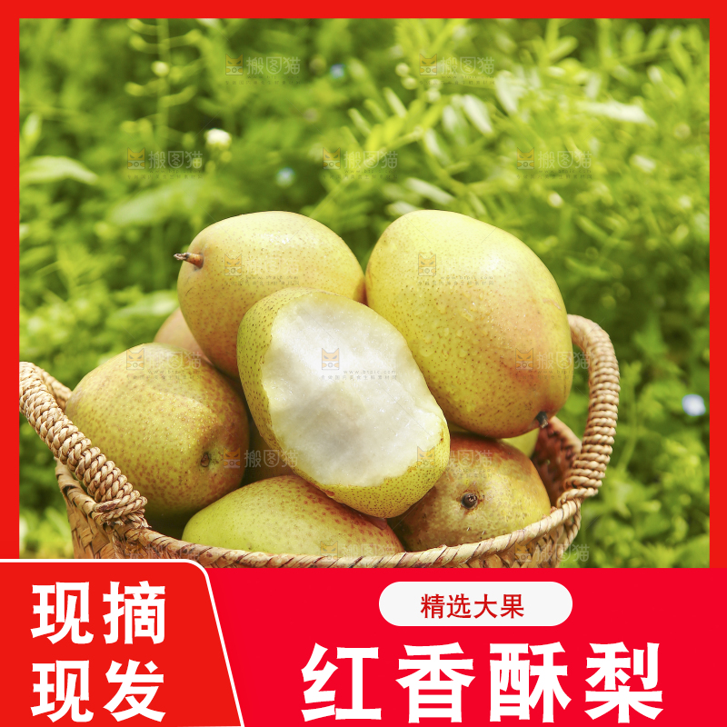 一篮新鲜红香酥梨