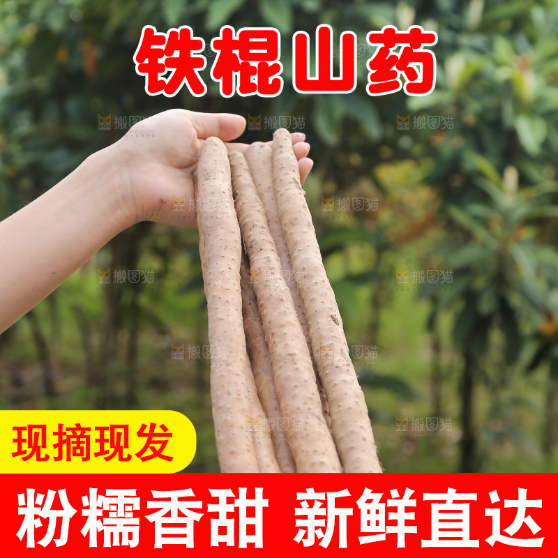 手里拿着山药