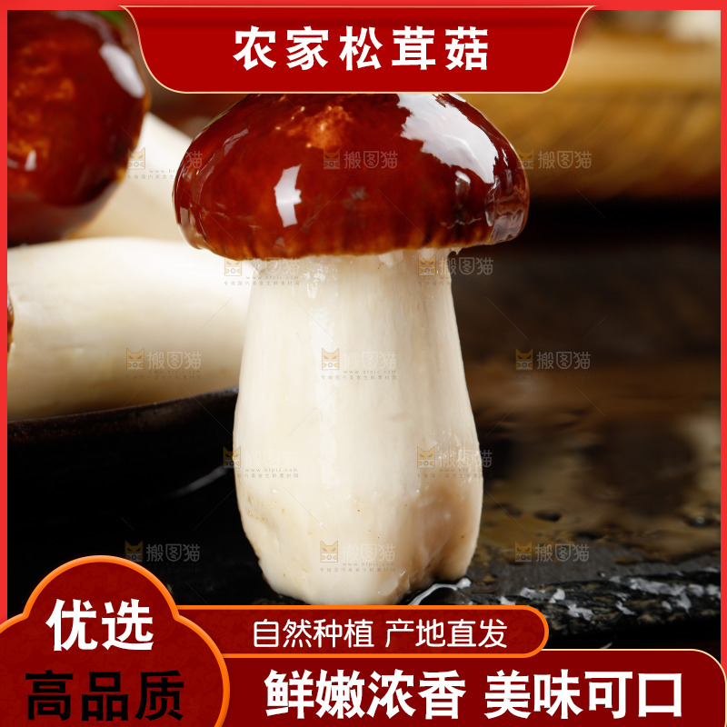 黑底上放着赤茸菇