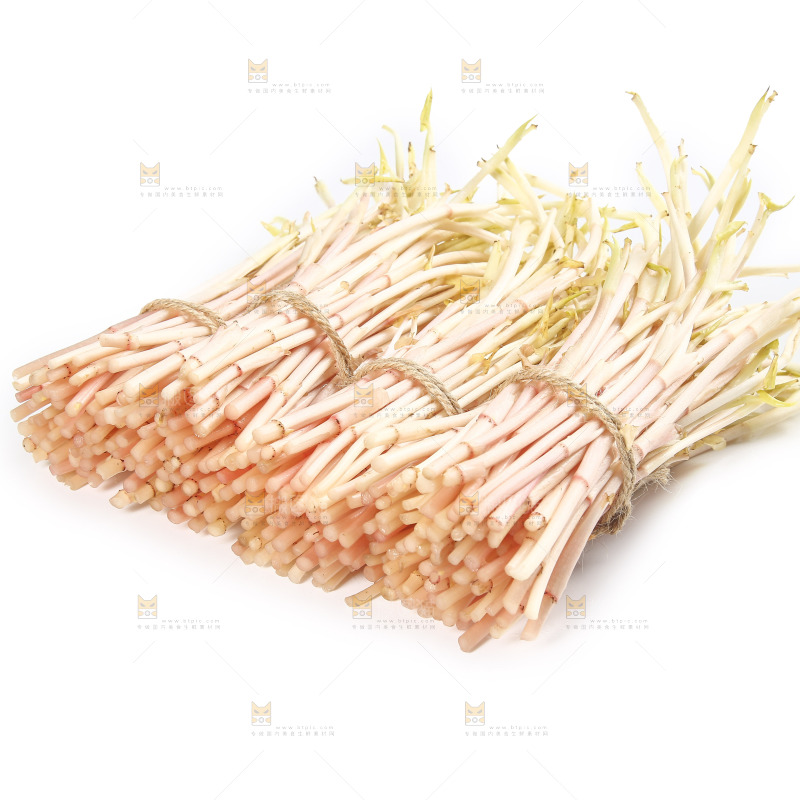 白底上的鱼腥草嫩芽