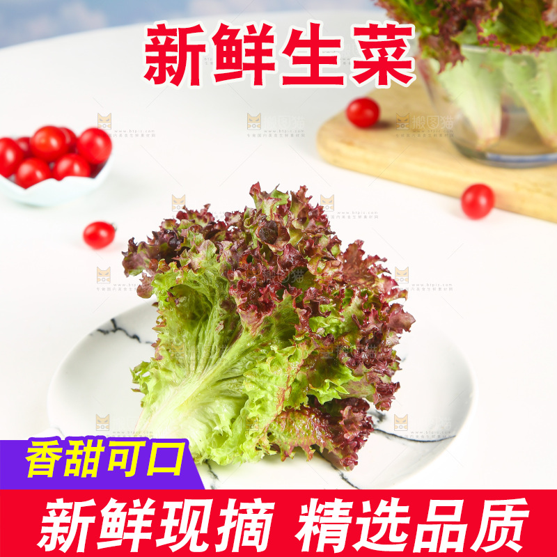 盘子里的紫生菜