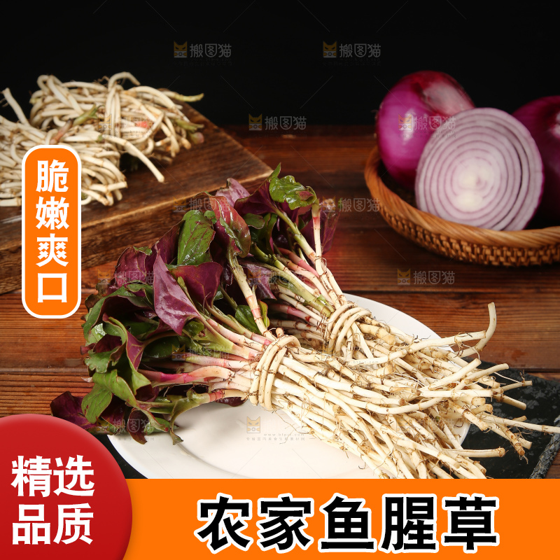 黑石板上放着鱼腥草