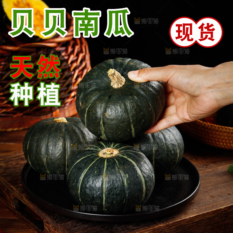 手里拿着贝贝南瓜