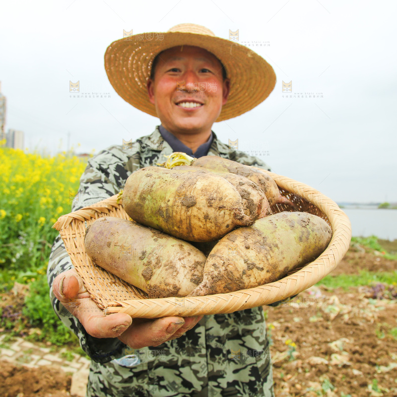 一簸箕冰激凌水果萝卜