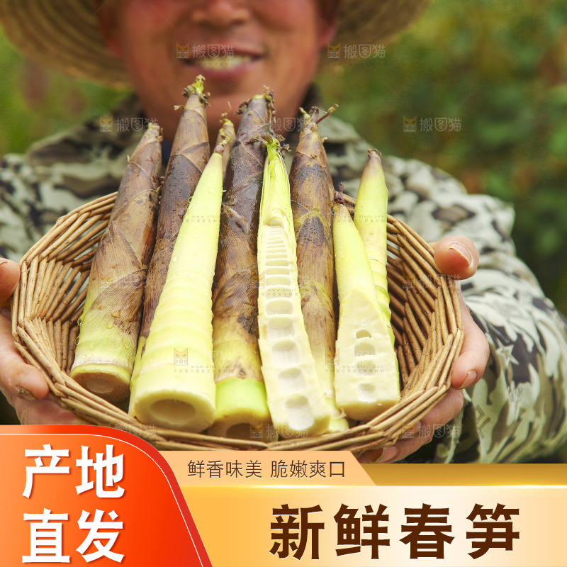 手里端着一篮雷笋