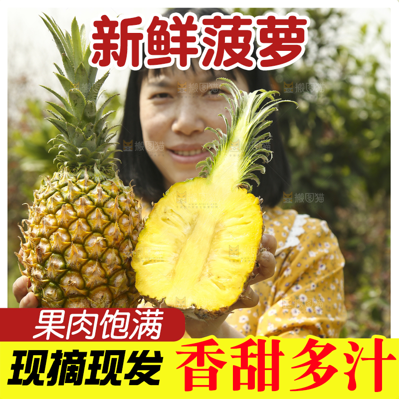 手里拿着菠萝