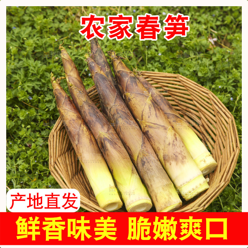一篮临安春雷笋