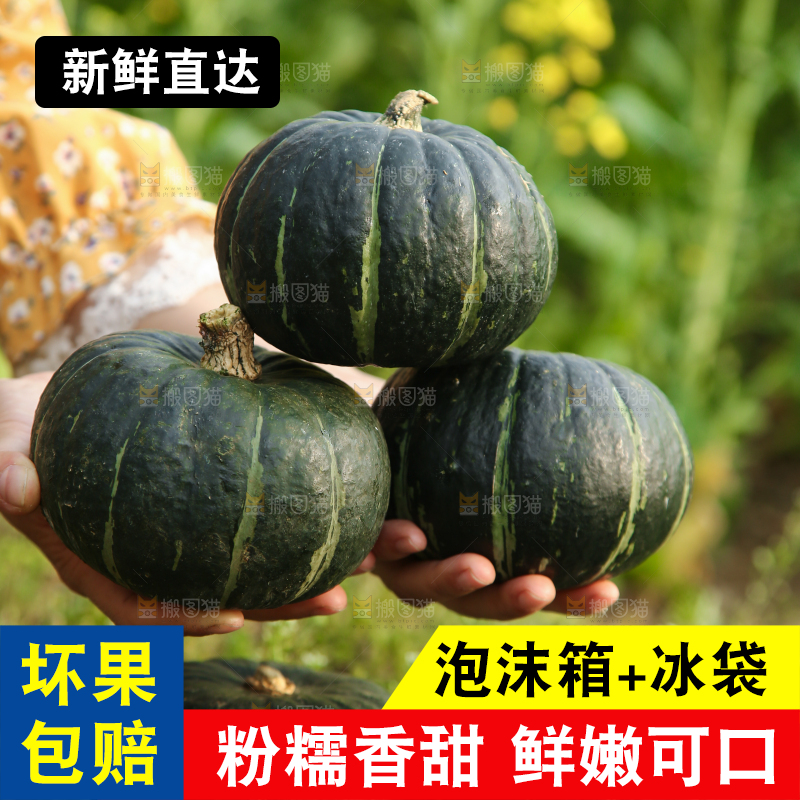手里拿着贝贝小南瓜