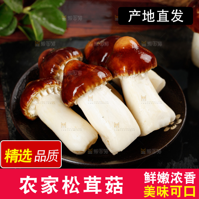 一盘姬松茸