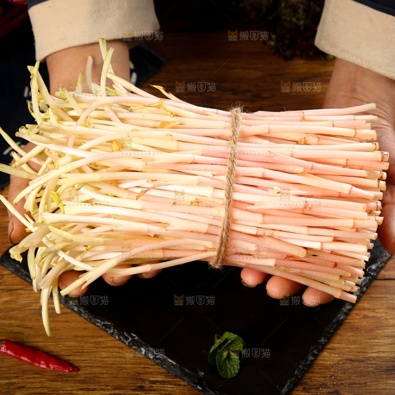 手里拿着鱼腥草嫩芽
