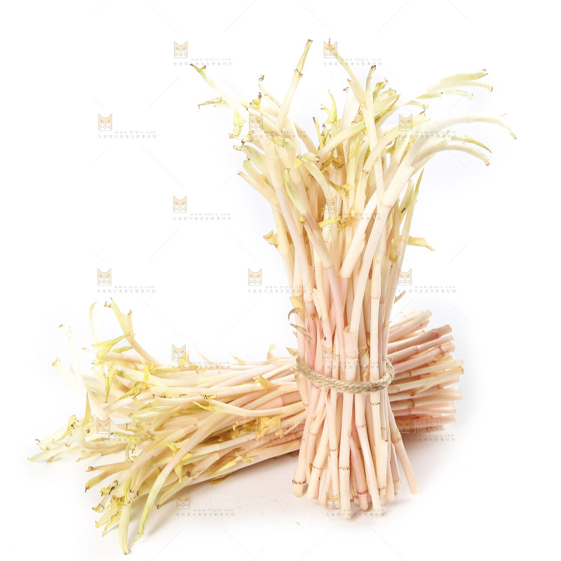 白底上的鱼腥草嫩芽