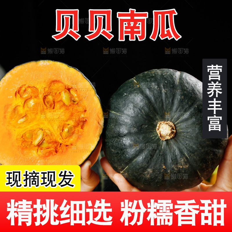 手里拿着贝贝南瓜