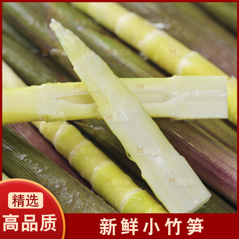新鲜的小竹笋