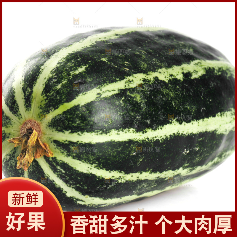 白底上放着博洋9号