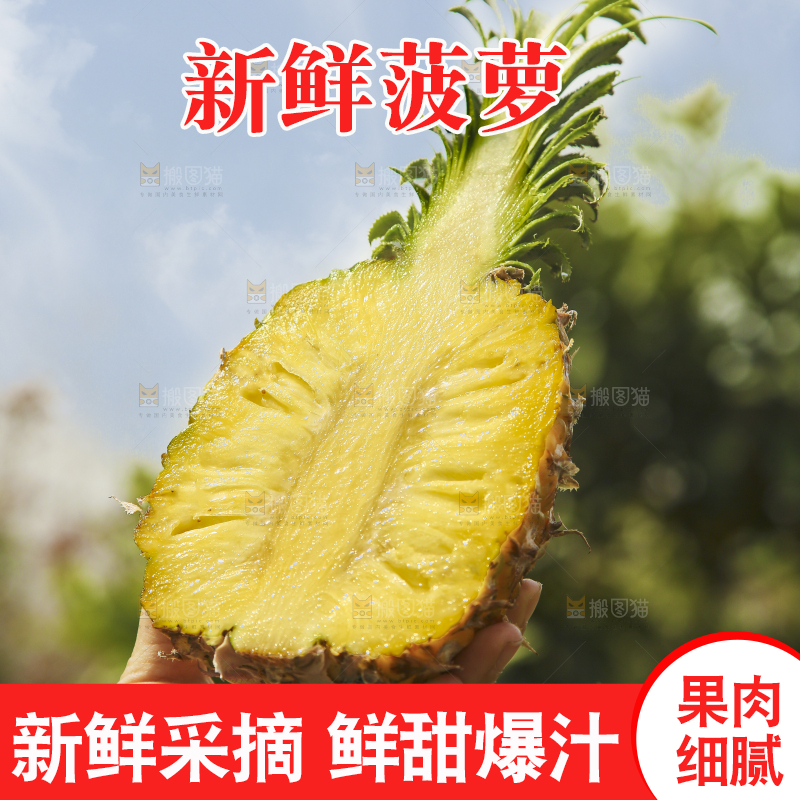 手里拿着切面的菠萝