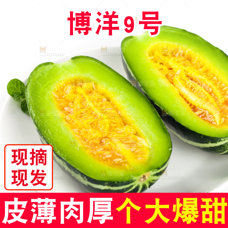 盘子里装着博洋9号